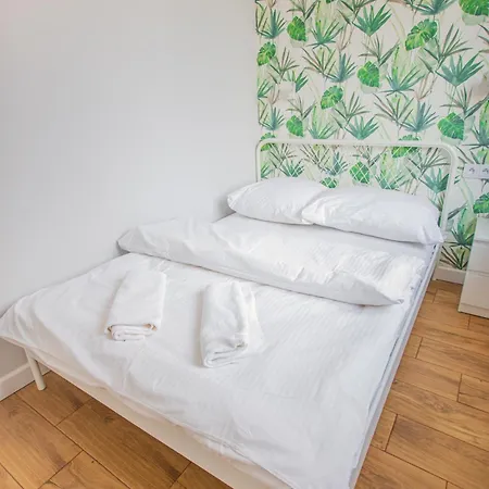 Cozy 1-bedroom Flat Next To The Center 公寓